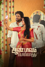 Aan Paavam Pollathathu